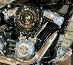 2021 FLSL - Softail Slim thumb 0