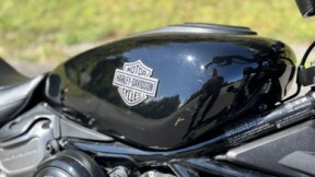 RH975 2024 Nightster™ thumb 2