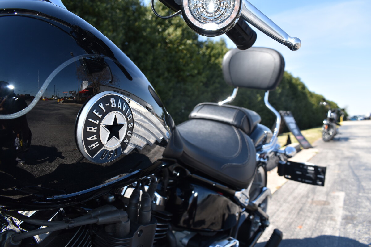 2025 Harley-Davidson Fat Boy - Photo 8