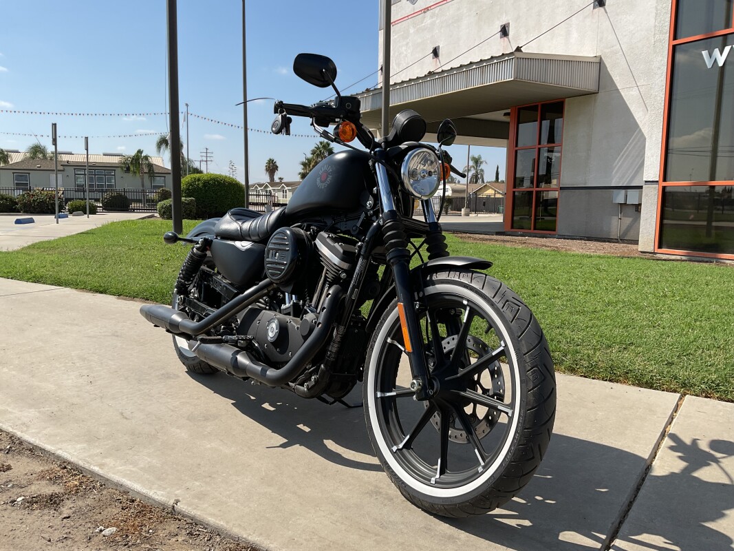 XL 883N 2022 Iron 883 - Photo 3