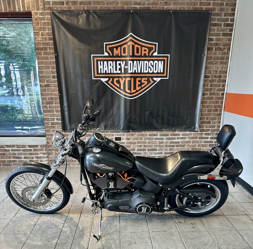 2006 Harley-Davidson Night Train FXSTB Abby Stone - Photo 4
