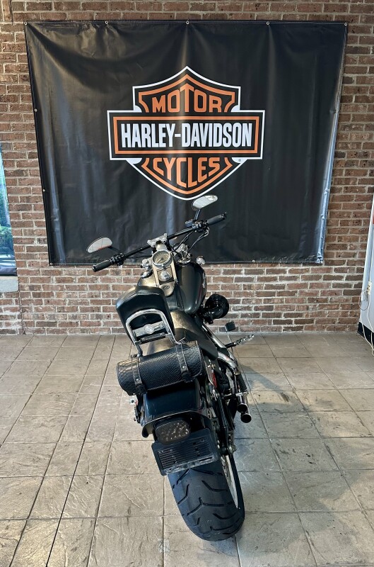 2006 Harley-Davidson Night Train FXSTB Abby Stone - Photo 6