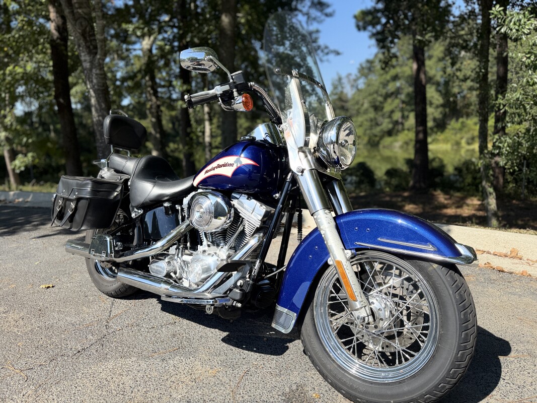 FLSTI 2006 Softail Standard - Photo 3