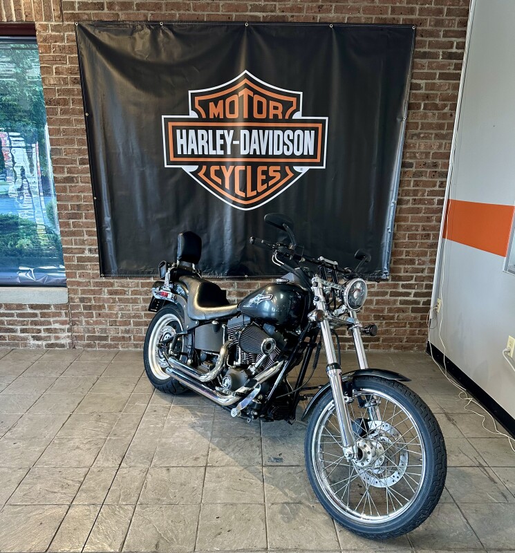 2006 Harley-Davidson Night Train FXSTB Abby Stone - Photo 2