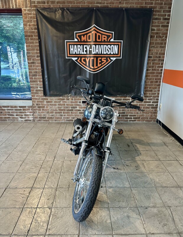 2006 Harley-Davidson Night Train FXSTB Abby Stone - Photo 5