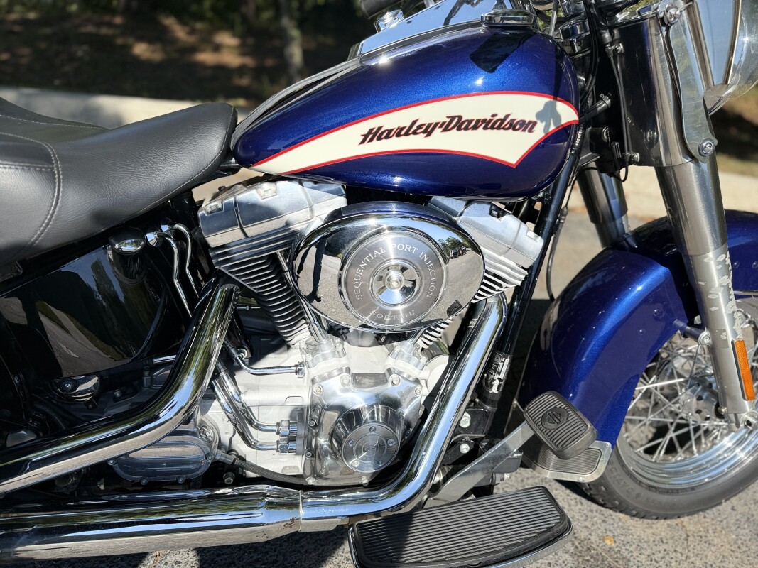 FLSTI 2006 Softail Standard - Photo 7