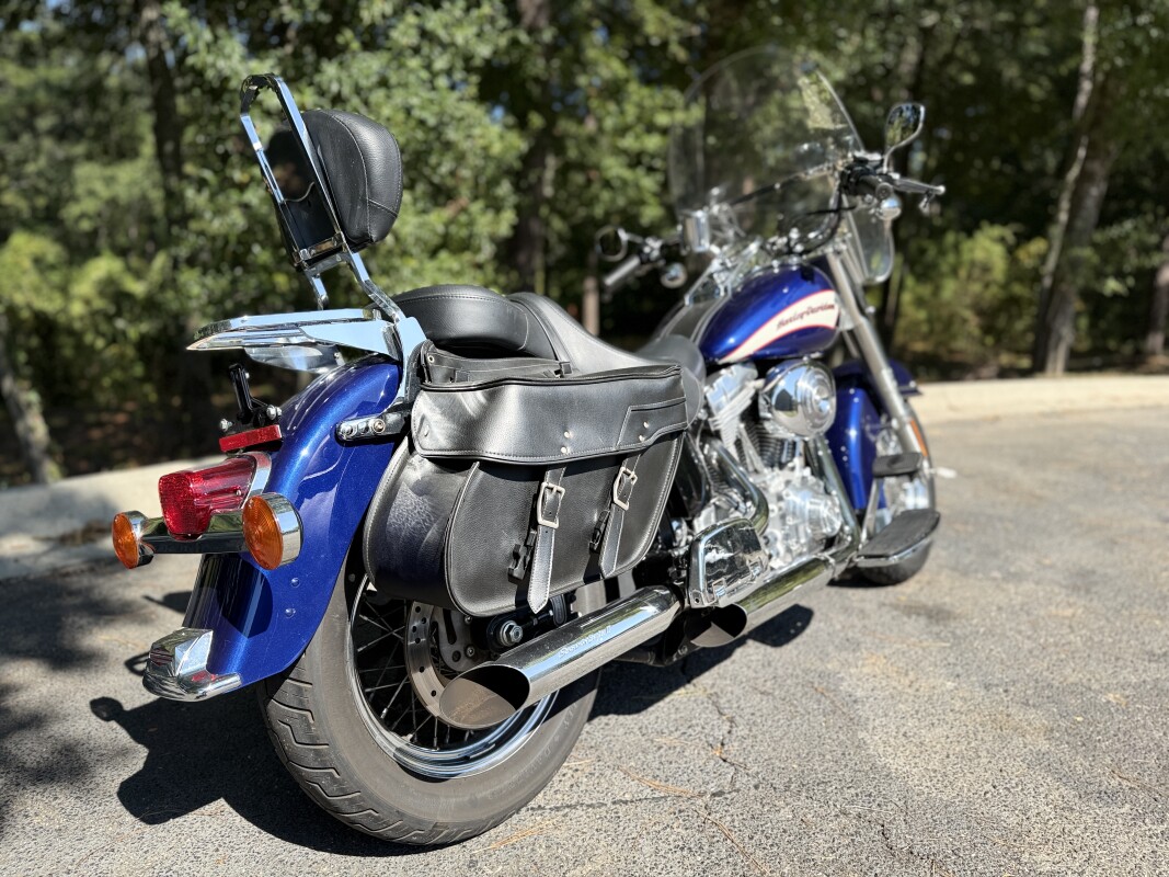 FLSTI 2006 Softail Standard - Photo 5