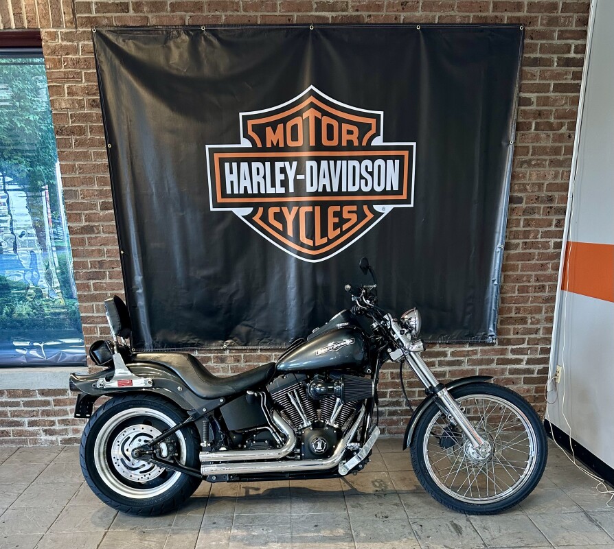 2006 Harley-Davidson Night Train FXSTB Abby Stone