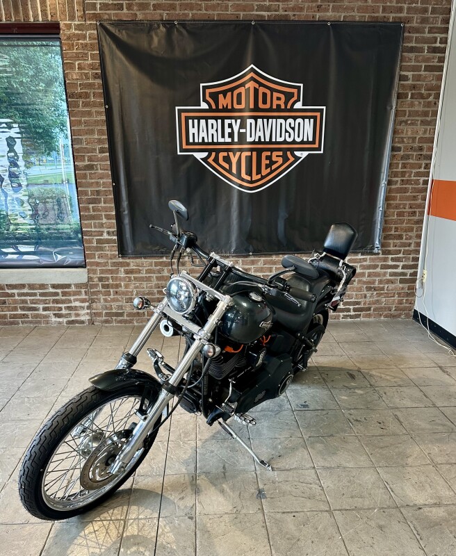 2006 Harley-Davidson Night Train FXSTB Abby Stone - Photo 3