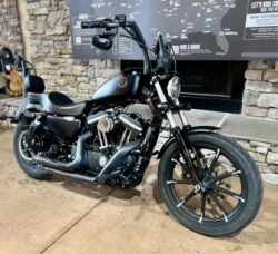 2019 XL883N - Iron 883 thumb 3
