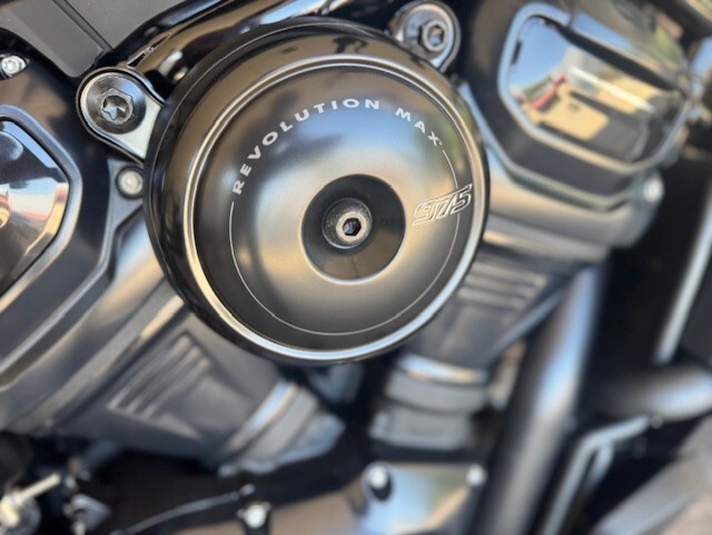 2025 Harley-Davidson Nightster Special RH975S - Photo 2
