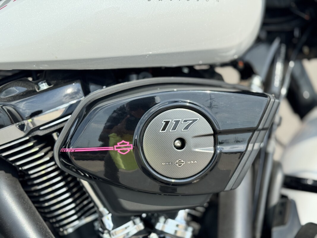 2025 Harley-Davidson Street Glide FLHX White Onyx Pearl W/ El Roy Pinstripes - Photo 10