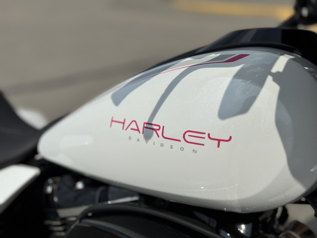 2025 Harley-Davidson Street Glide FLHX White Onyx Pearl W/ El Roy Pinstripes - Photo 9