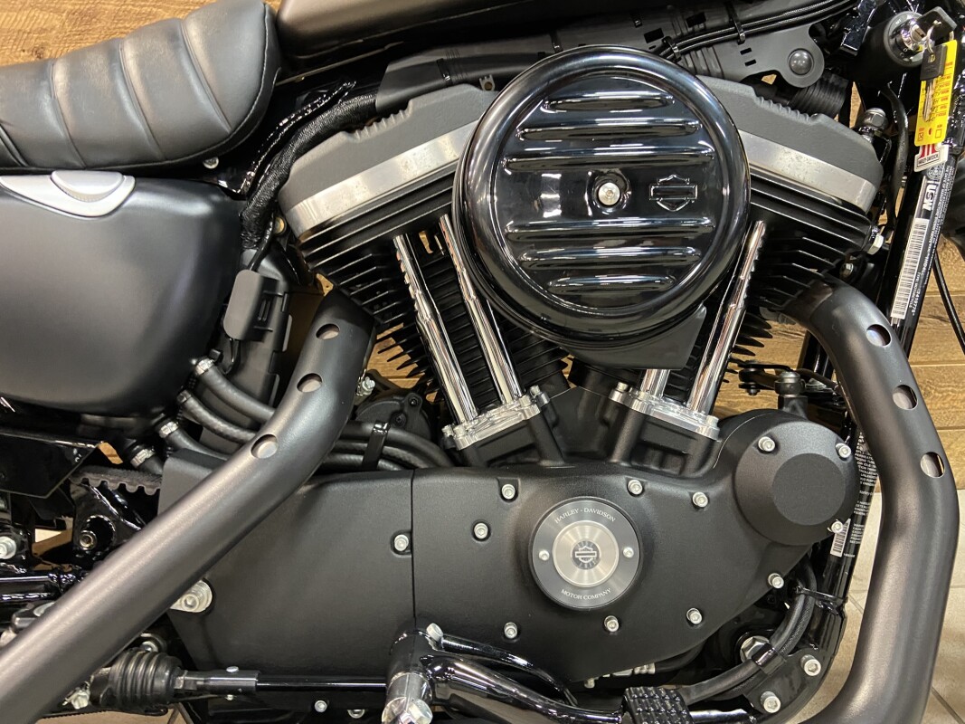 2021 Harley-Davidson Iron 883 River Rock Gray XL883N - Photo 3