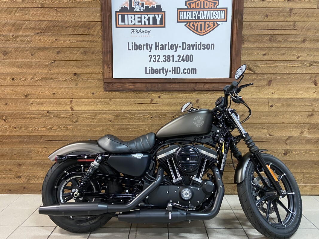 2021 Harley-Davidson Iron 883 River Rock Gray XL883N