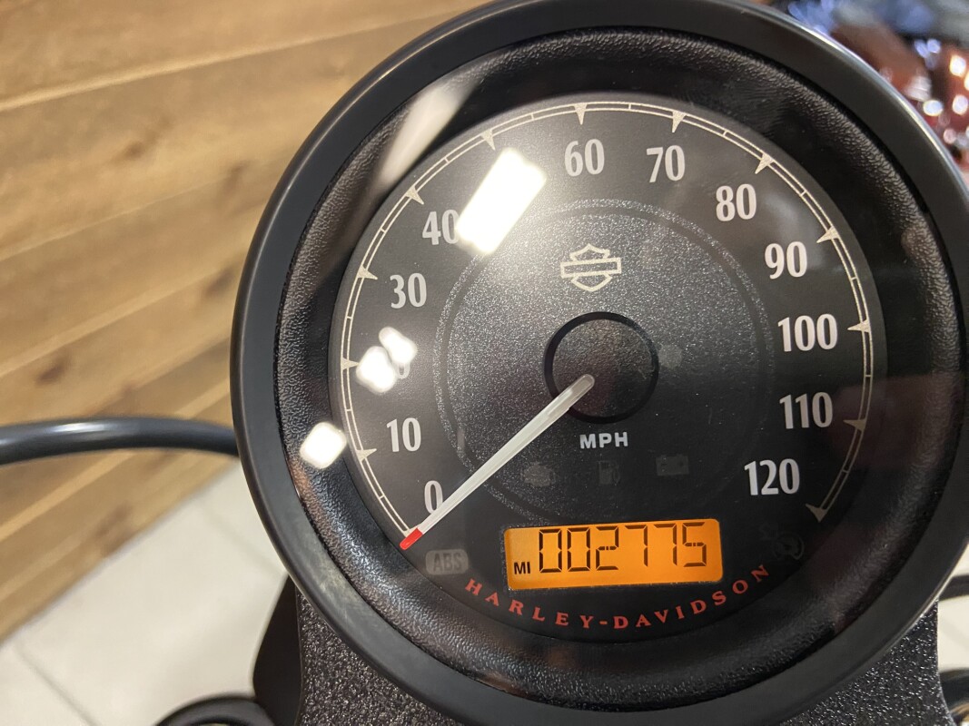 2021 Harley-Davidson Iron 883 River Rock Gray XL883N - Photo 6