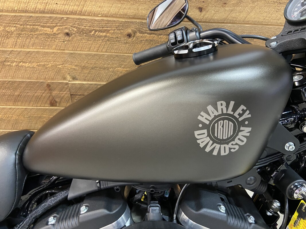 2021 Harley-Davidson Iron 883 River Rock Gray XL883N - Photo 2