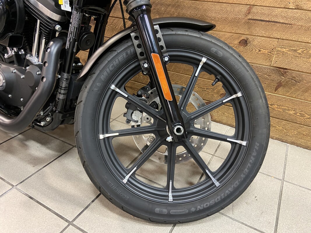 2021 Harley-Davidson Iron 883 River Rock Gray XL883N - Photo 4