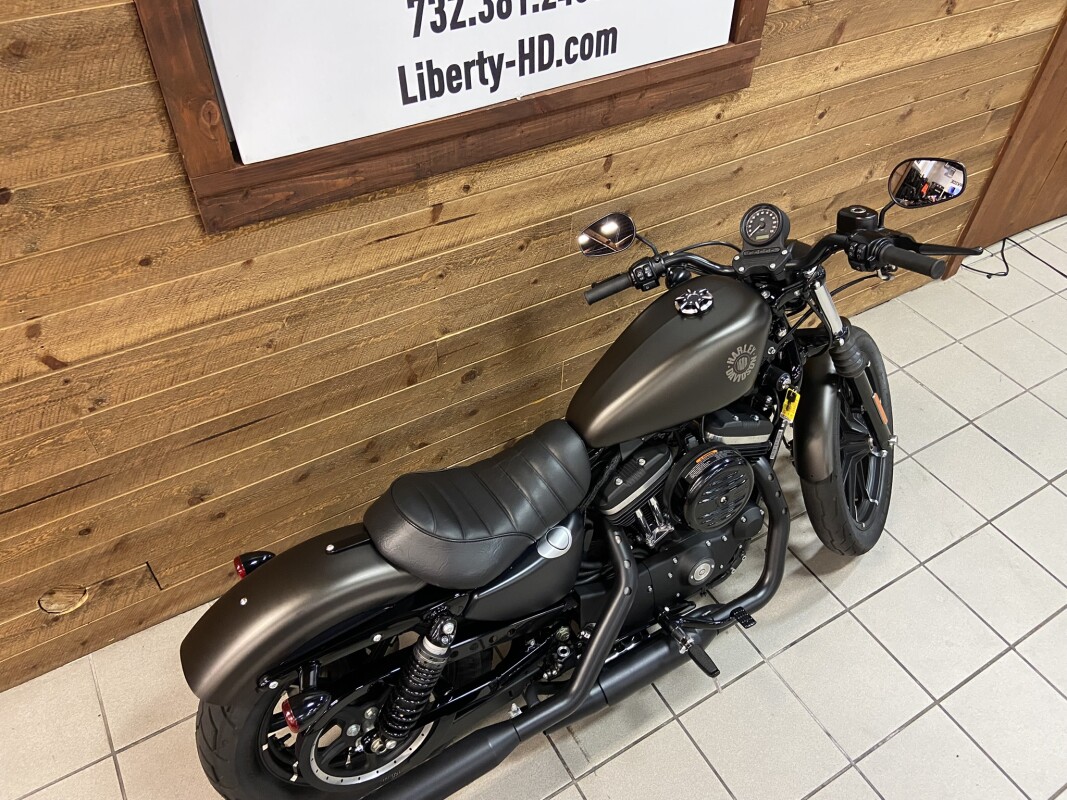 2021 Harley-Davidson Iron 883 River Rock Gray XL883N - Photo 7