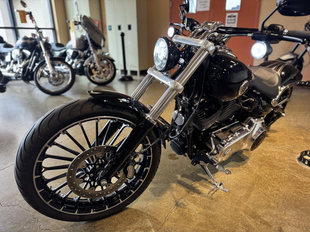 2017 Harley Davidson Breakout FXSB - Photo 6