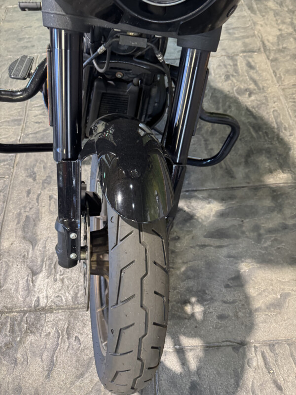 2021 Harley-Davidson Low Rider S - Photo 9