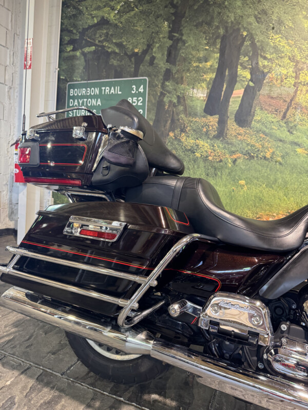 2011 Harley-Davidson Electra Glide Ultra Classic - Photo 9