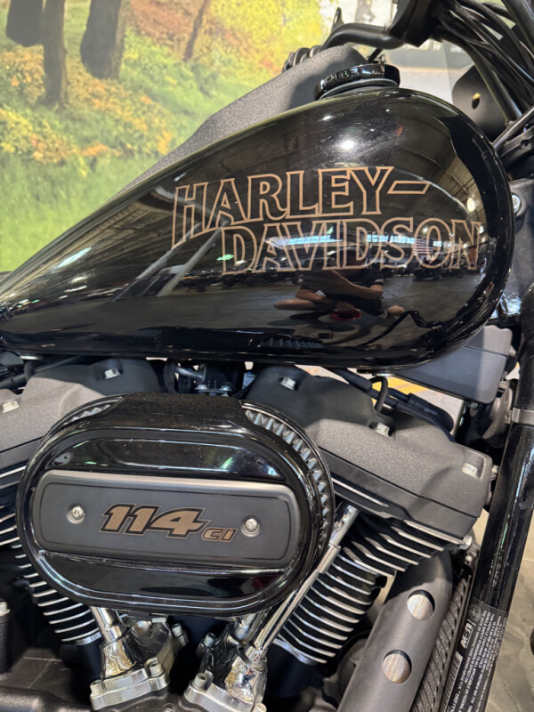 2021 Harley-Davidson Low Rider S - Photo 3