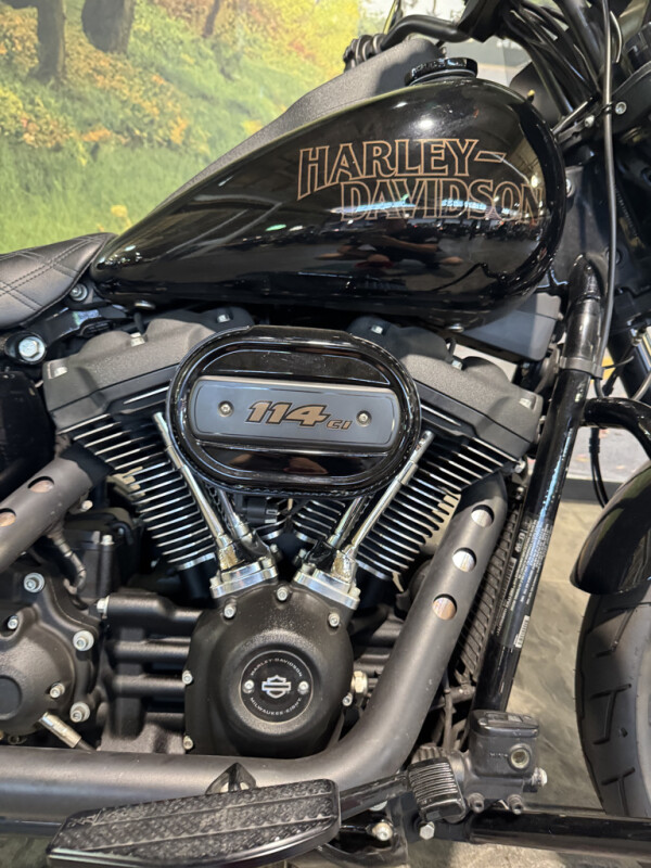 2021 Harley-Davidson Low Rider S - Photo 4