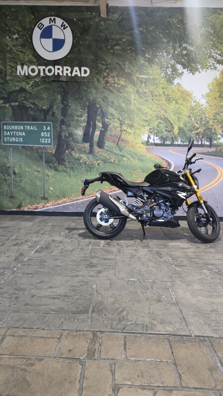 2025 BMW Motorrad G 310 R