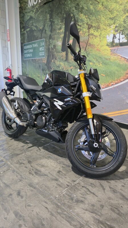 2025 BMW Motorrad G 310 R - Photo 4