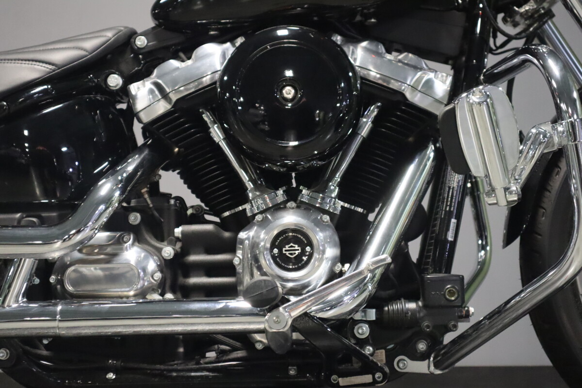 2023 Harley-Davidson Softail Standard FXST - Photo 9