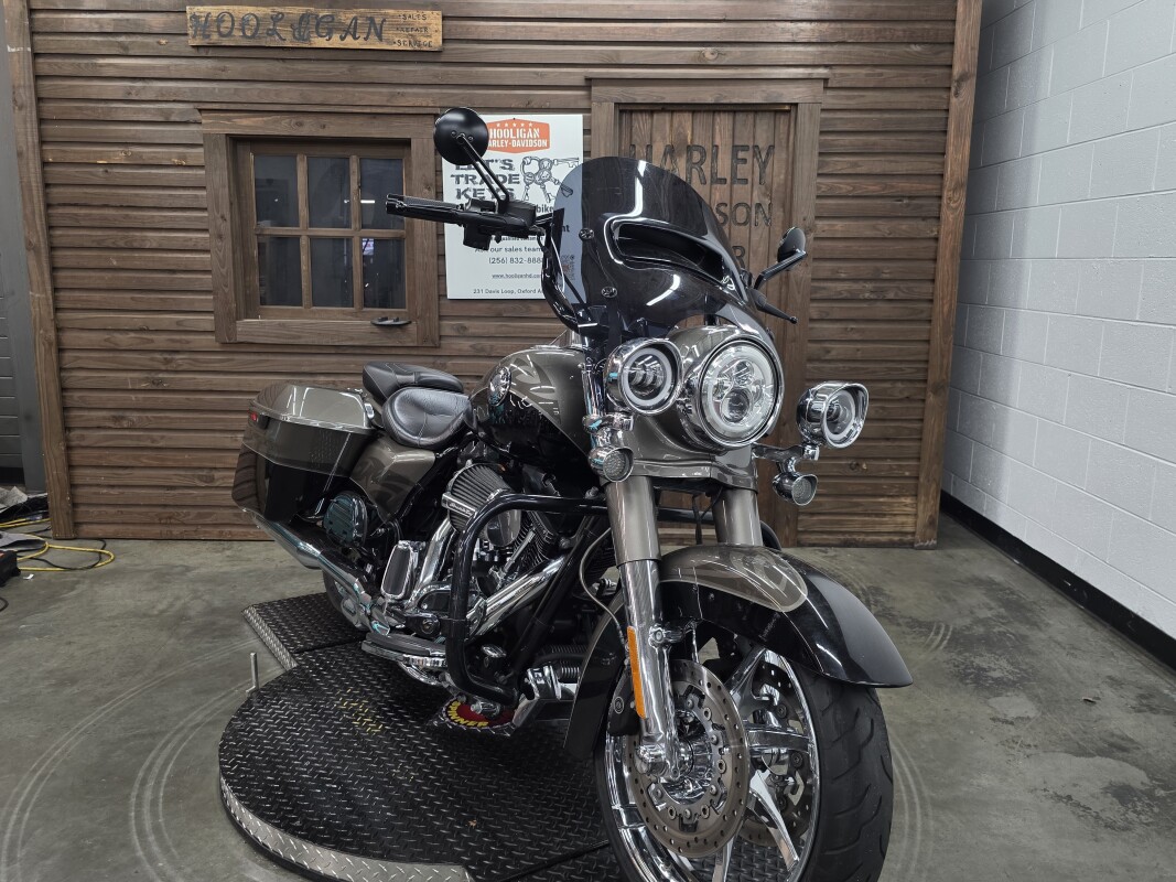 2014 Harley-Davidson CVO Road King TITANIUM/GALBLK W/ PINSTRIP - Photo 7