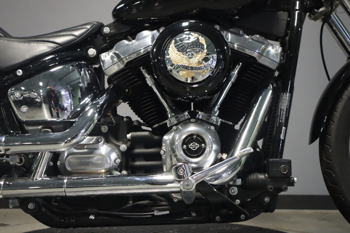 2023 Harley-Davidson Softail Standard FXST - Photo 10