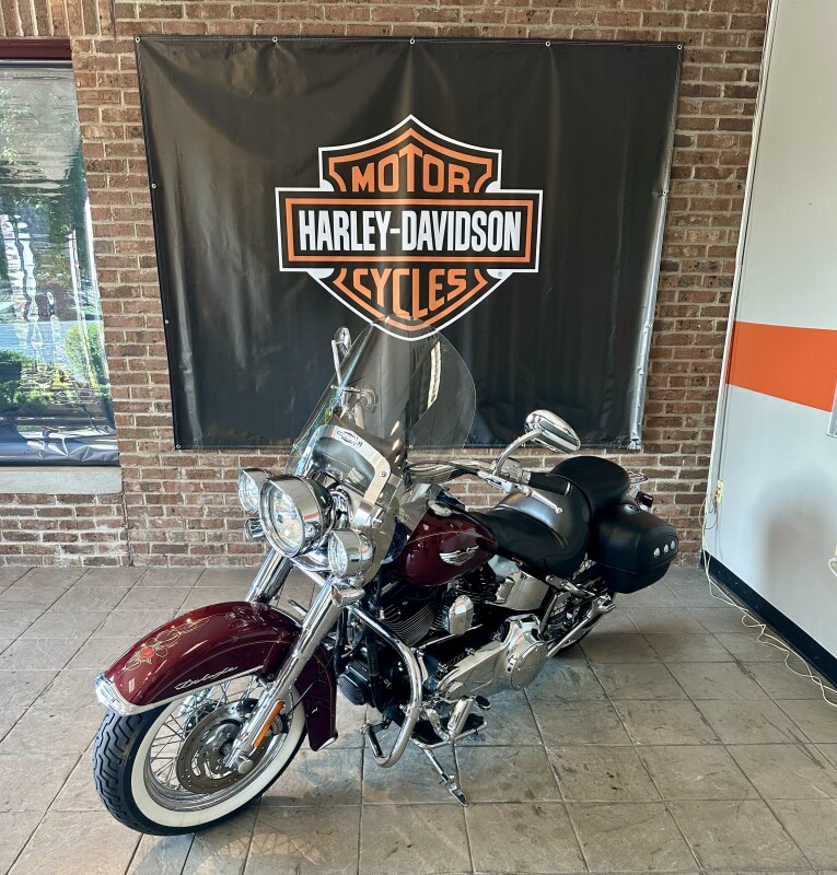 2008 Harley-Davidson Softail Deluxe FLSTN - Photo 4