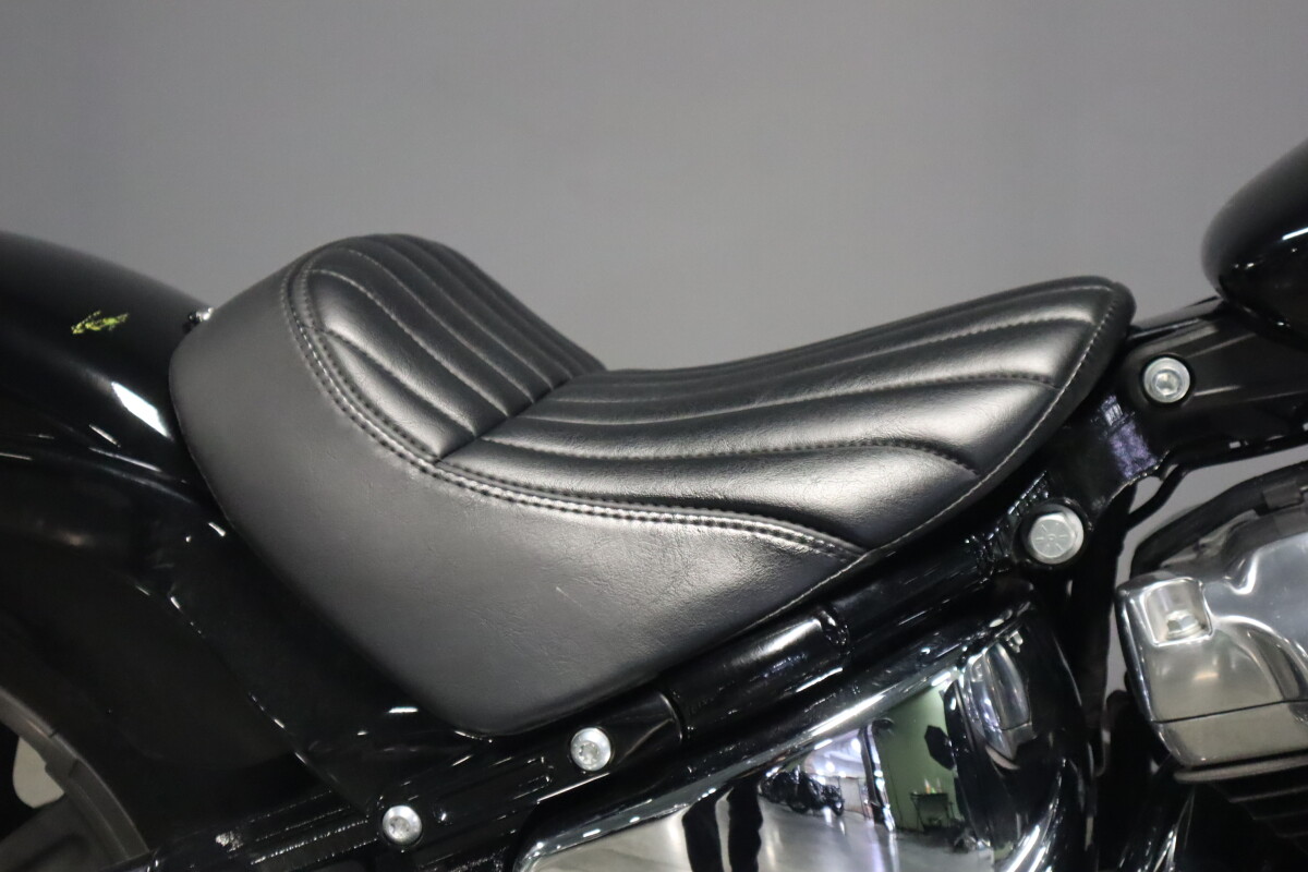 2023 Harley-Davidson Softail Standard FXST - Photo 9