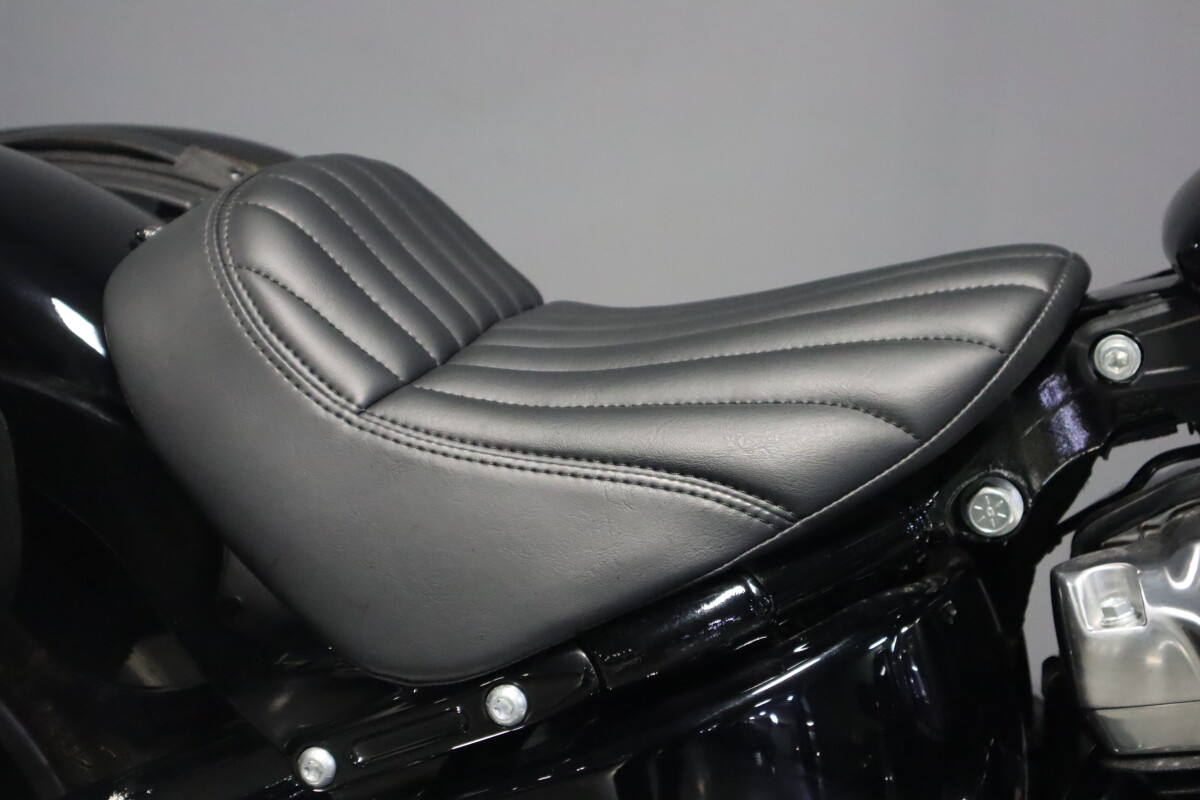 2023 Harley-Davidson Softail Standard FXST - Photo 10