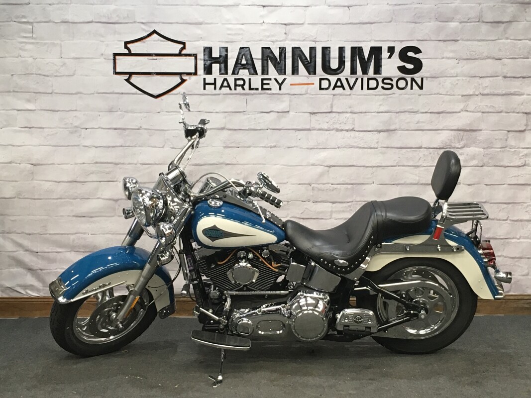 2001 Harley-Davidson Heritage Softail Classic Two-Tone Real Teal/Birch White FLSTC - Photo 6