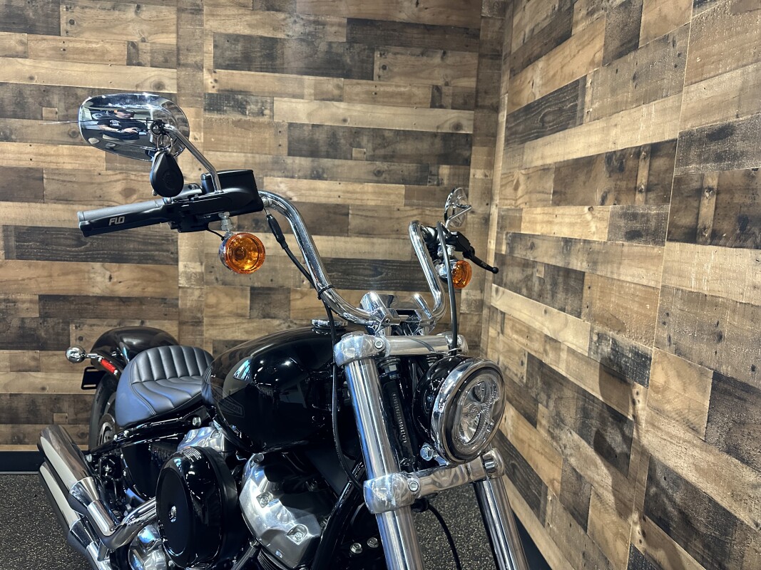 2022 Harley-Davidson Softail Standard Vivid Black FXST - Photo 5