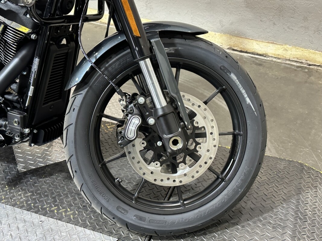 Harley-Davidson Low Rider ST 2025 FXLRST 84646495 IRON HORSE MTLC - Photo 7