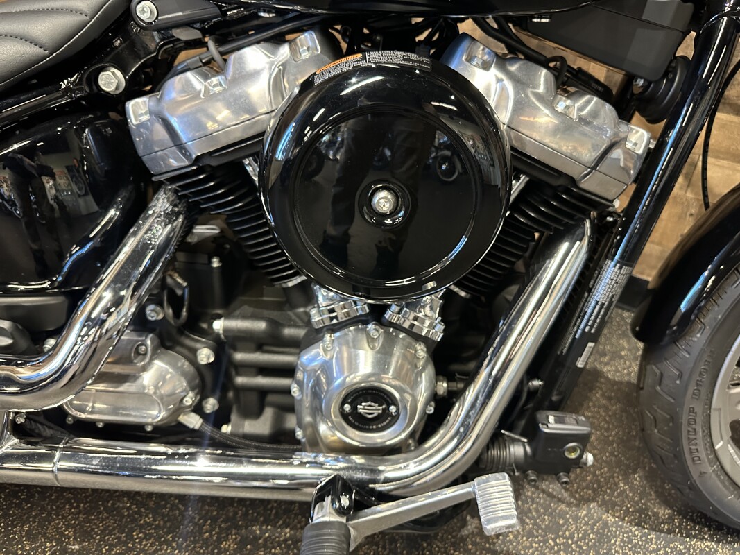 2022 Harley-Davidson Softail Standard Vivid Black FXST - Photo 10