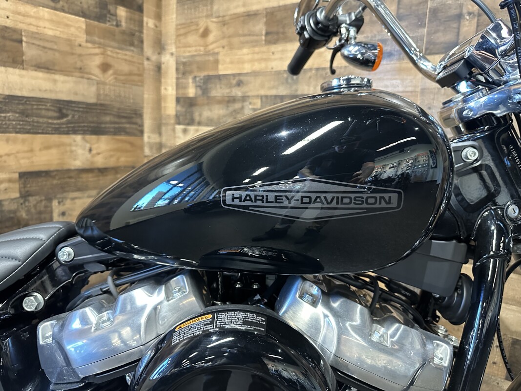2022 Harley-Davidson Softail Standard Vivid Black FXST - Photo 9