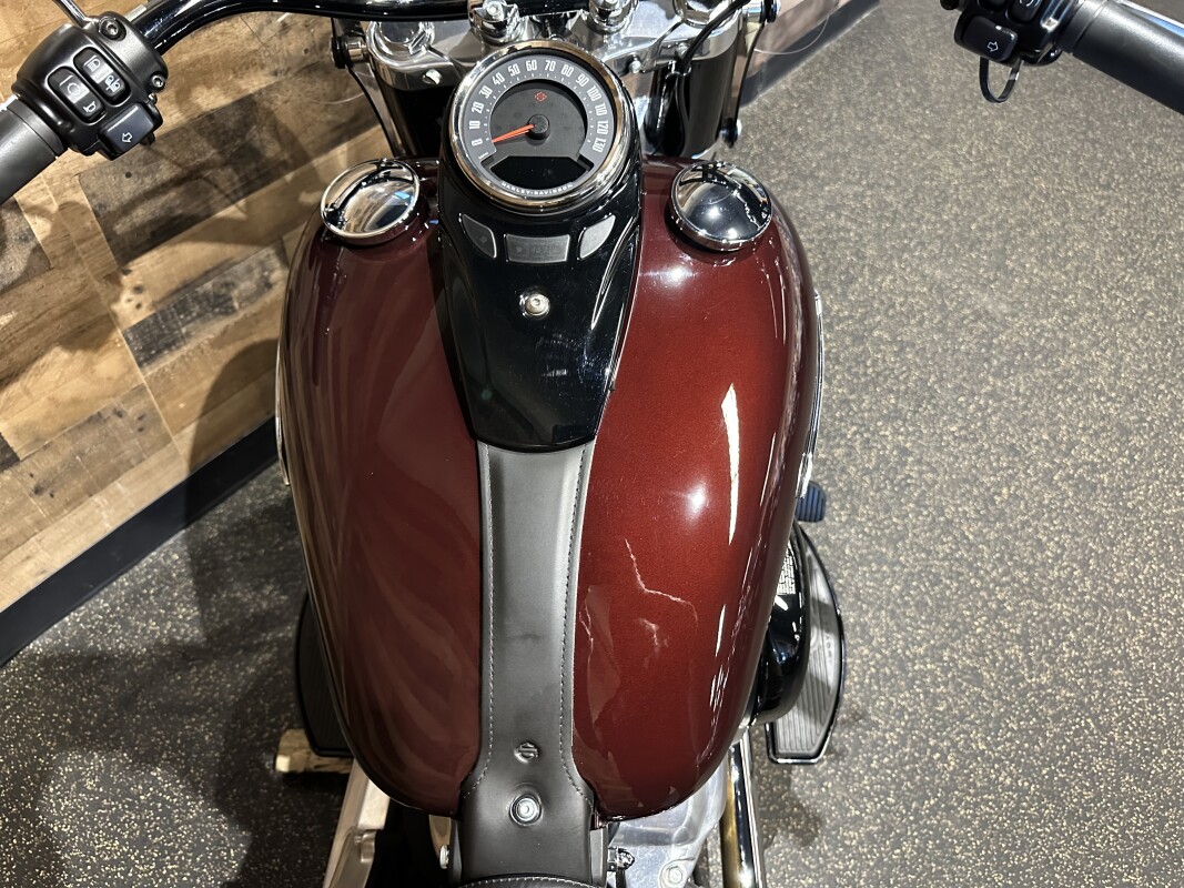 2021 Harley-Davidson Softail Slim Midnight Crimson & Stone Washed White Pearl FLSL - Photo 7