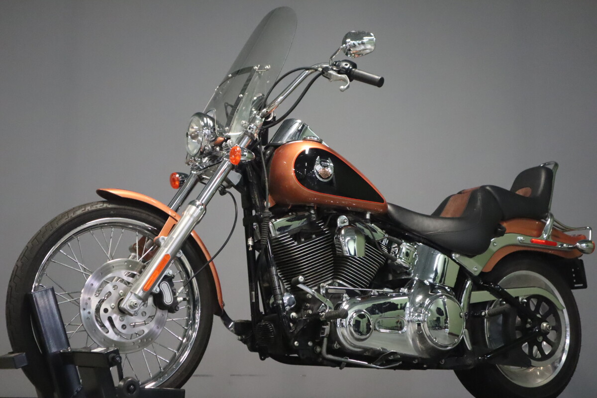 2008 Harley-Davidson Softail Custom FXSTC - Photo 4
