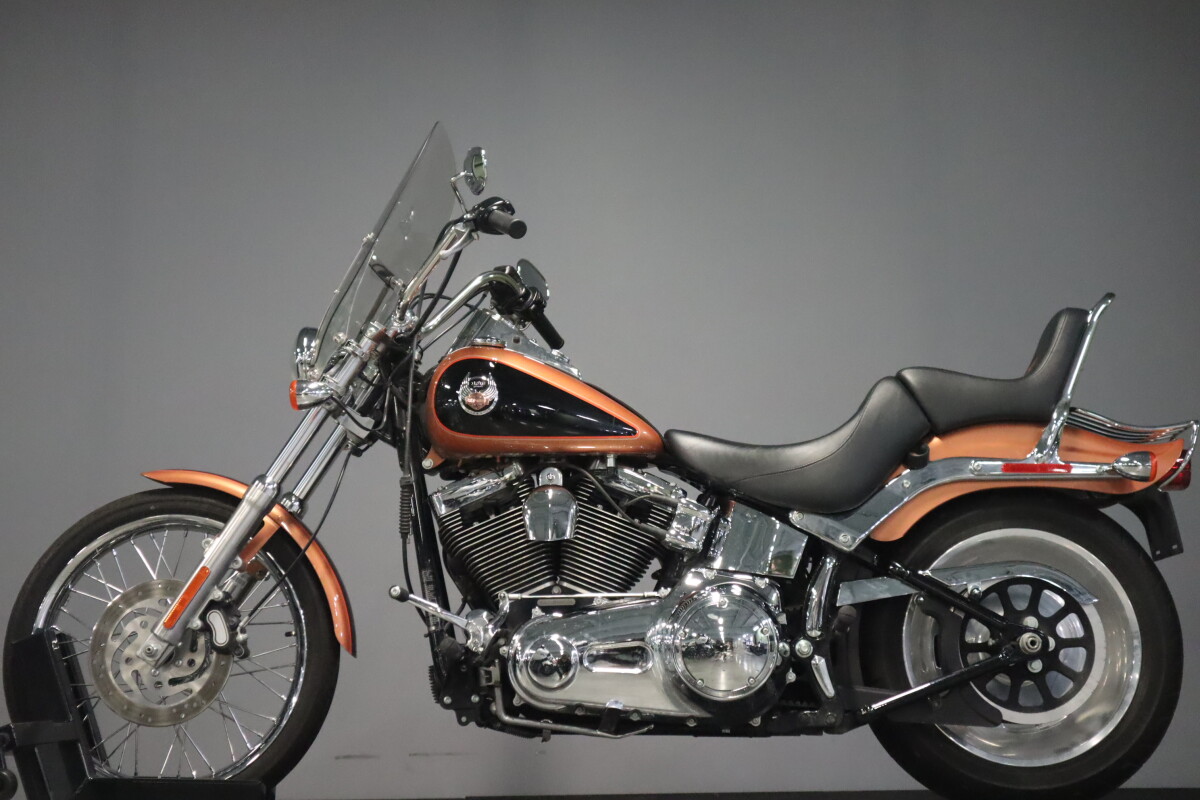 2008 Harley-Davidson Softail Custom FXSTC - Photo 5