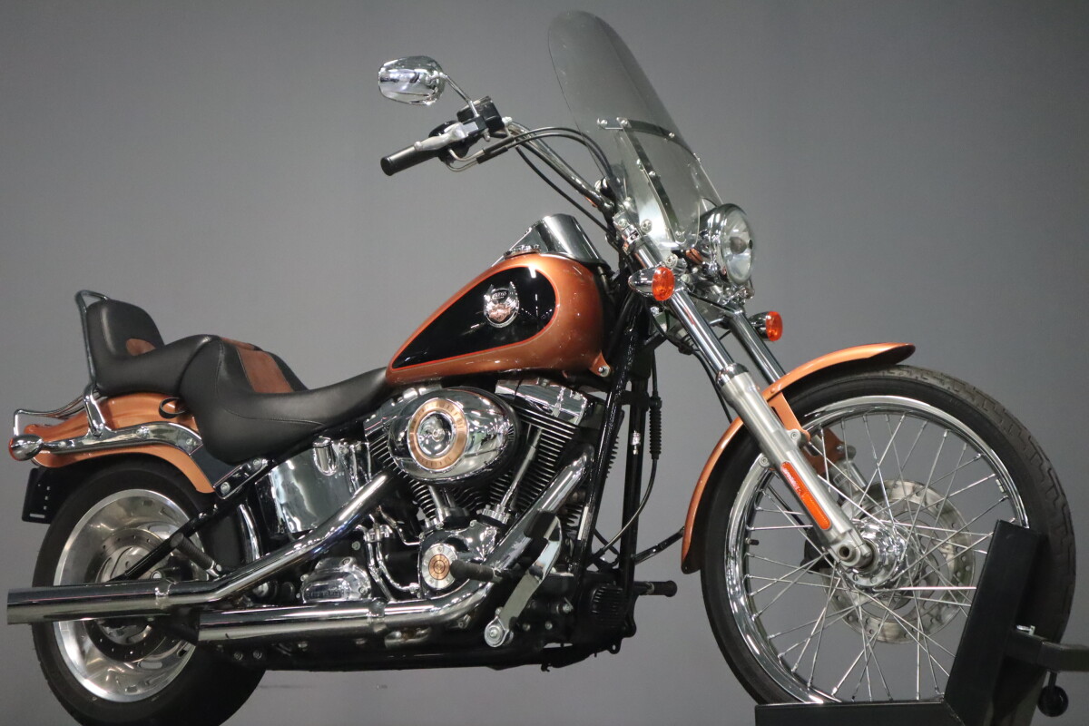 2008 Harley-Davidson Softail Custom FXSTC - Photo 2