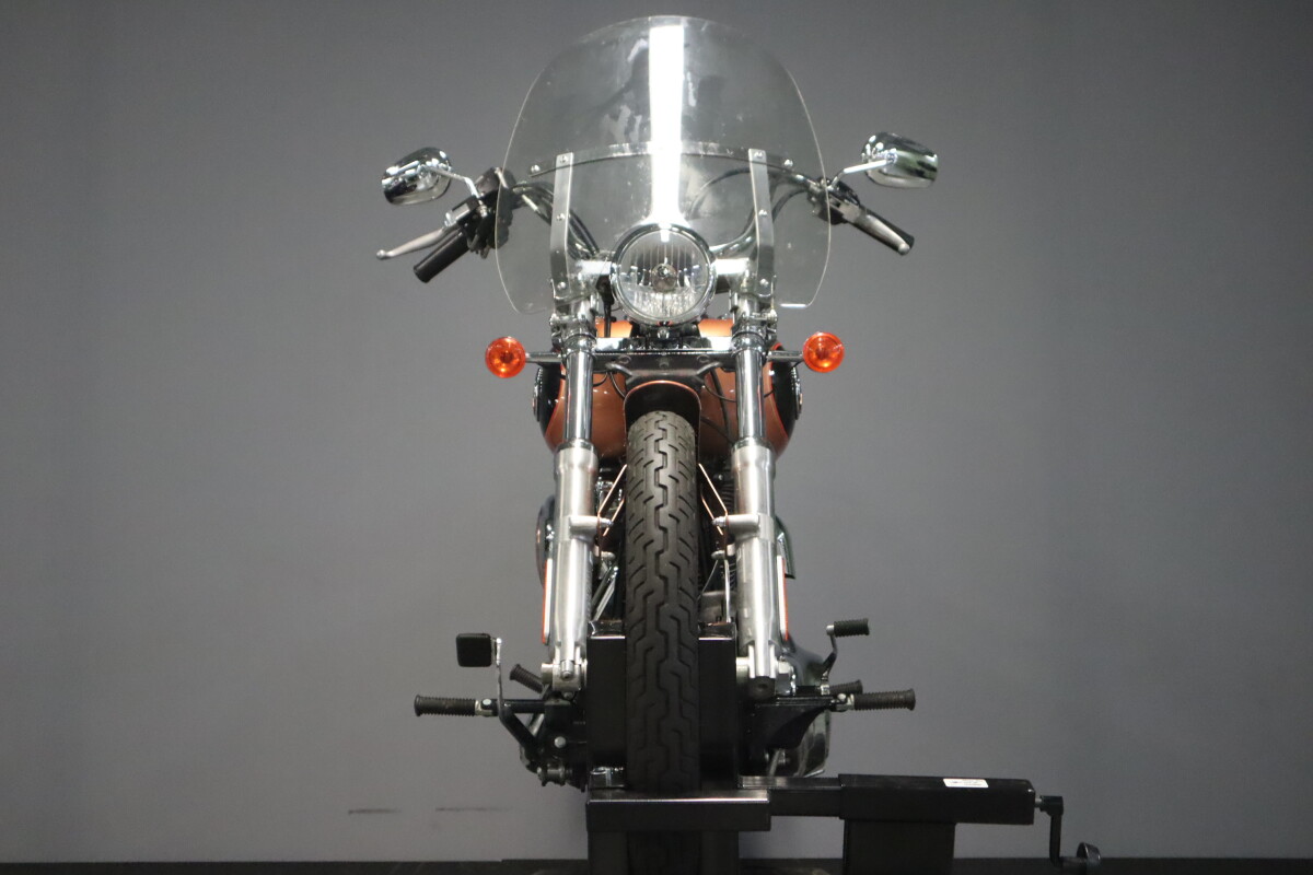 2008 Harley-Davidson Softail Custom FXSTC - Photo 3