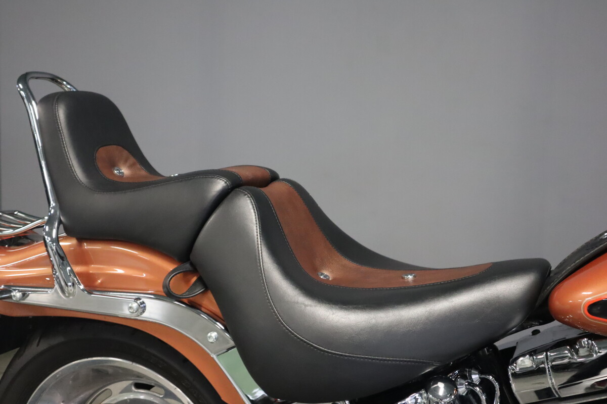 2008 Harley-Davidson Softail Custom FXSTC - Photo 9