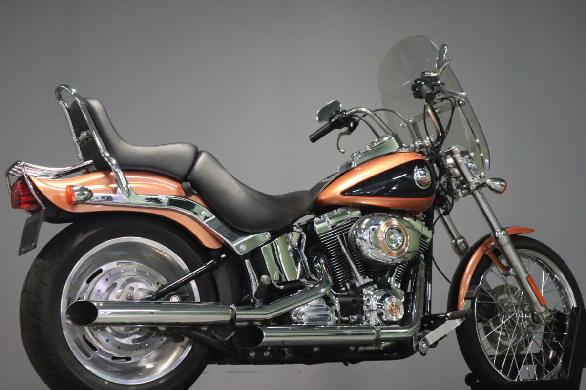 2008 Harley-Davidson Softail Custom FXSTC - Photo 8