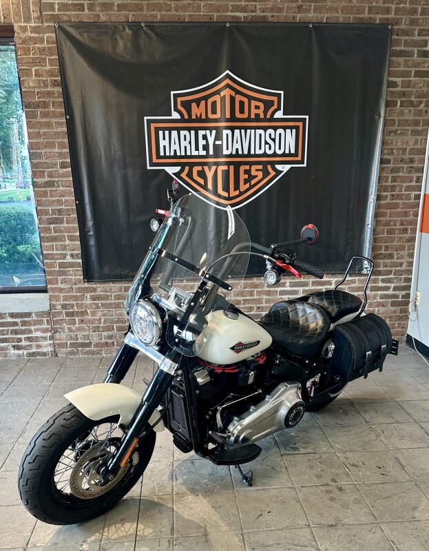 2019 Harley-Davidson Softail Slim FLSL Bonneville Salt Denim - Photo 3