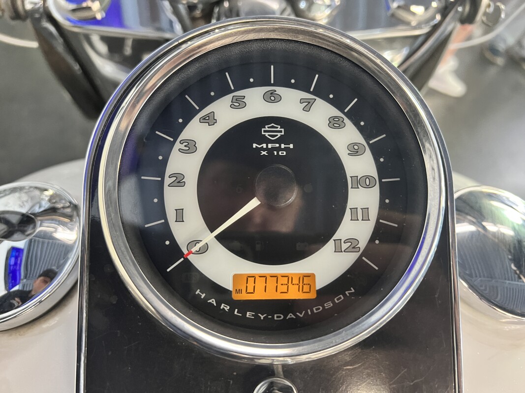 2016 Harley-Davidson Softail Deluxe Crushed Ice /Frosted Teal FLSTN - Photo 6